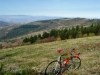05-Vitus-992