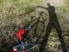 06-Vitus-992