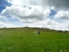 08-Madonne