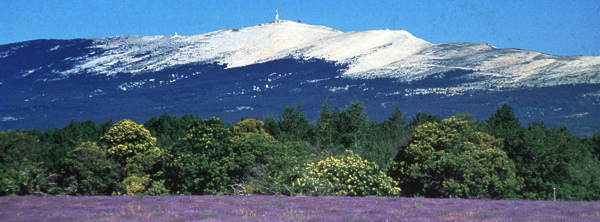 Banniere_cingle_du_ventoux