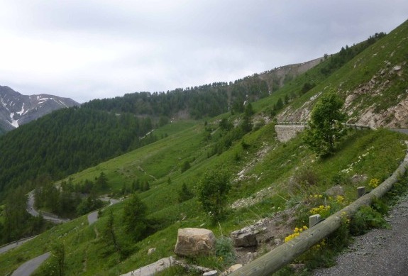 Col_Allos2
