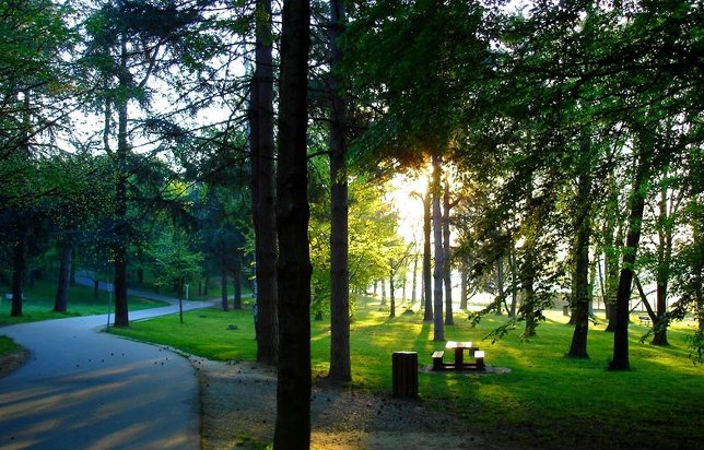 Parc_de_Bron-Parilly