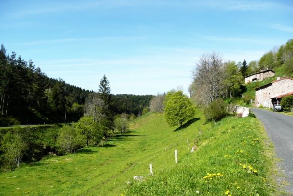 La Haute-Loire au printemps. Le meilleur de la saison !